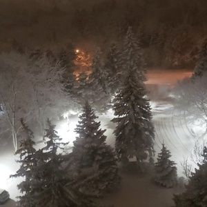 Meet your Posher, Jovana